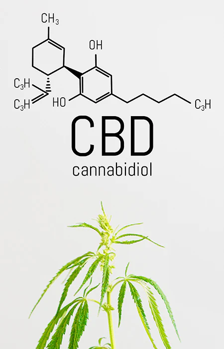 CBDfluid-3